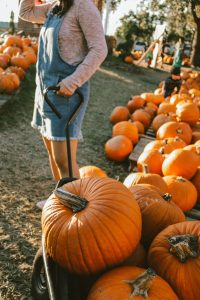 ideas for 4th quarter marketing girl pulling wagon full of pumpkins at pumpkin patch